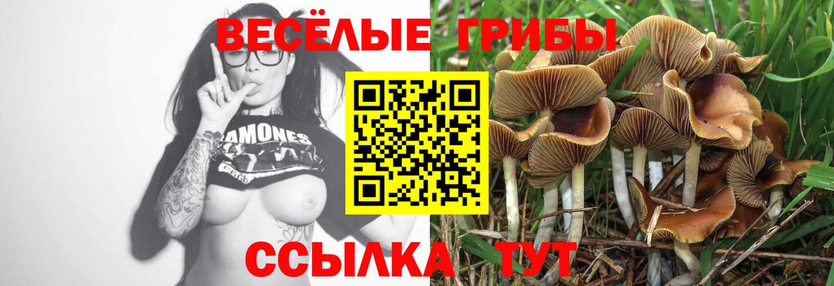 Галлюциногенные грибы Magic Shrooms Бутурлиновка
